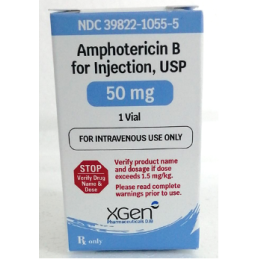 AMFOTERICINA B